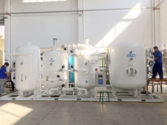 Separador de gas nitrógeno profesional Chenrui Fabricación de máquina Generador de nitrógeno para la venta