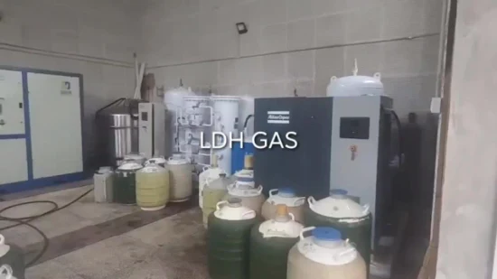 Generador de nitrógeno líquido Ldh Small Industrial Biology Institute 20L